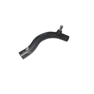 Manguera Des vaporizador Citroën ZX Peugeot 405 