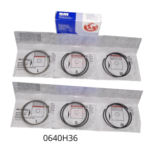 Rines STD Peugeot 208 301 307 308 Citroën Elysée C4 Berlingo 1.6 turbo Diesel DV6